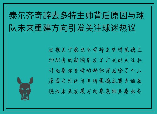 泰尔齐奇辞去多特主帅背后原因与球队未来重建方向引发关注球迷热议
